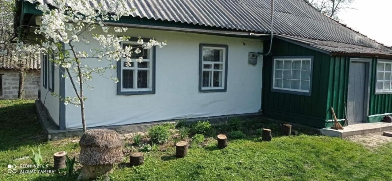 Медова Садиба Subbotiv Exterior photo